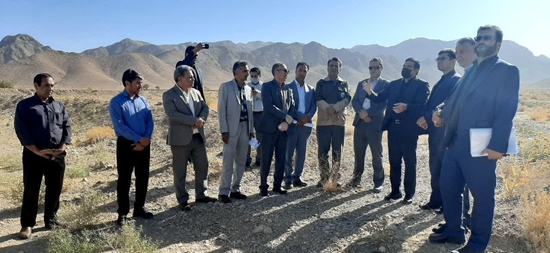 شبکه بهداشت و درمان قاین